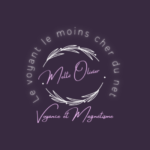 Logo le clairvoyant le moins cher du web